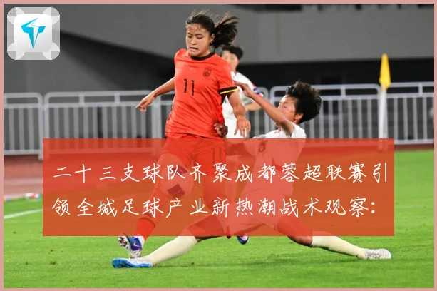 二十三支球队齐聚成都蓉超联赛引领全城足球产业新热潮战术观察：最新赛事动态与深度分析